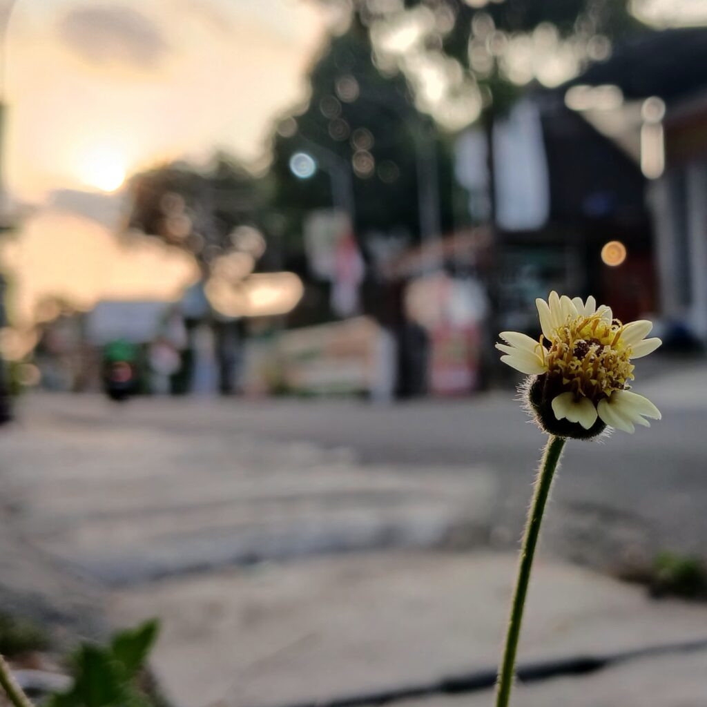 Himatika Vektor UM Nailul Iflakha